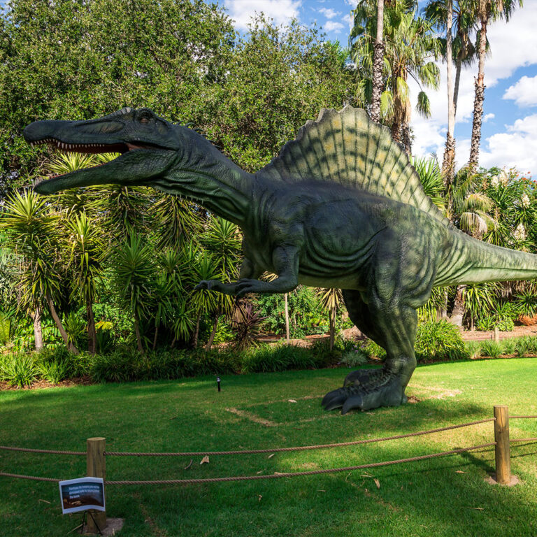 Life-size Spinosaurus dinosaur model at Perth Zoo (clone)