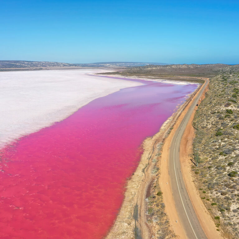 Stunning pink lake near Geraldton with vibrant colors caused by algae